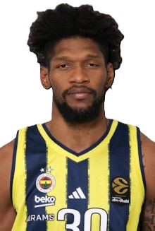 silva fenerbahce